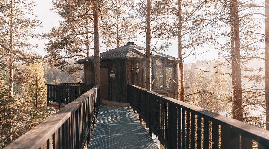 Granö Beckasin